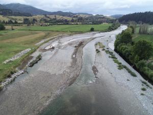 Lower Motueka River (2)