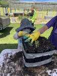 Potting up party (3)